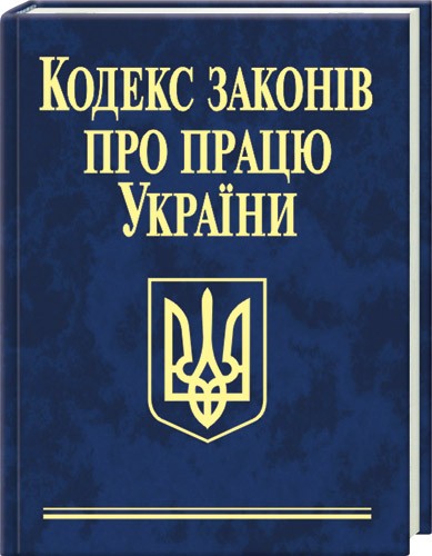 Уряд визначив порядок проведення перевірок інспекторами праці