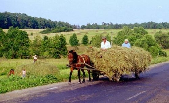 Молодим фахівцям, які їдуть працювати на село, виплатять «підйомні» 