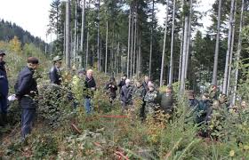 Проведено чергове навчання