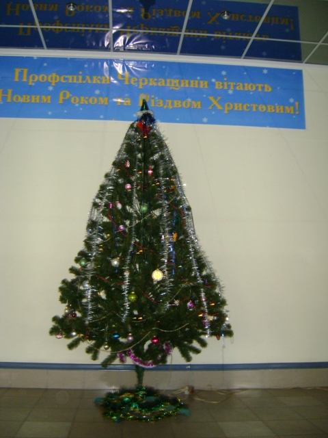 DSC05515