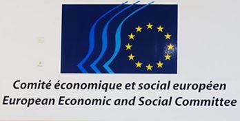  Вагомі   ініціативи Голови ФПУ