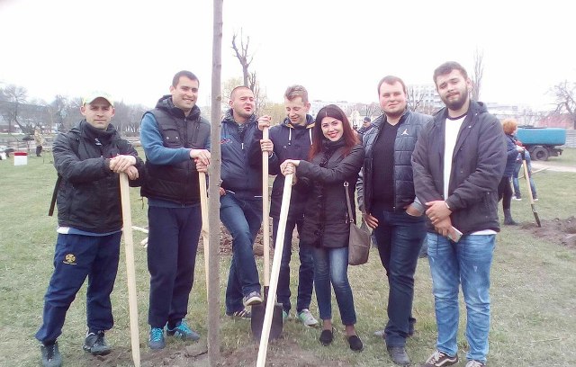 Висадили «молодіжну» липову алею