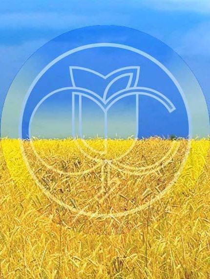 23 жовтня відбулося засідання правління Фонду соціального страхування
