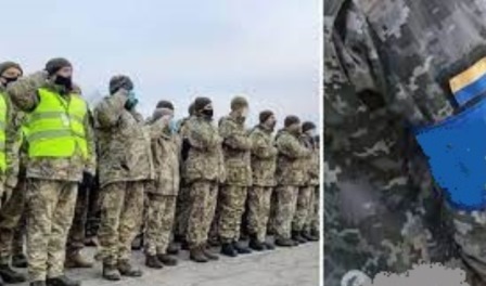 Працюють за себе й за своїх товаришів 