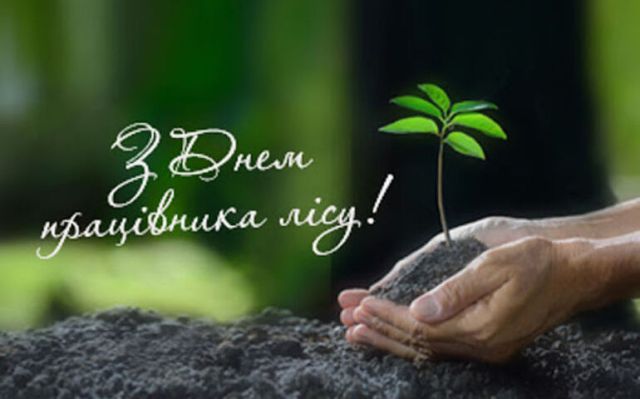 Привітання голови Федерації профспілок України Сергія Бизова працівникам лісового господарства, лісової та деревообробної промисловості з Днем працівника лісу